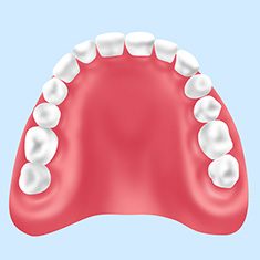 保険診療の入れ歯